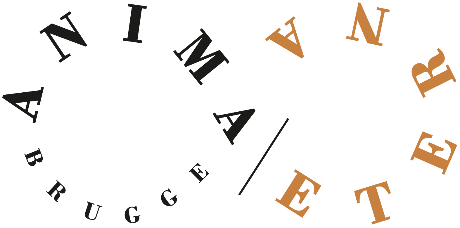 Anima Eterna Logo